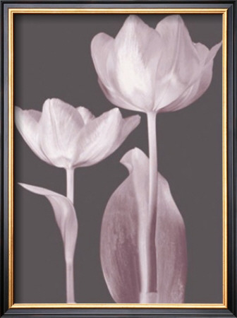 Classic Tulips I by Katja Marzahn Pricing Limited Edition Print image