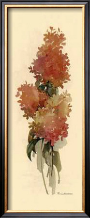 Hydrangea Delicacy by Rosalind Oesterle Pricing Limited Edition Print image