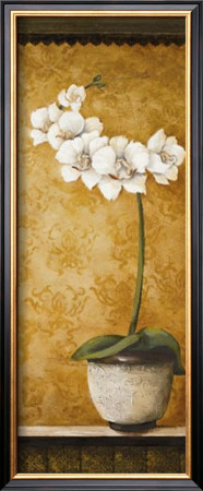Hanna's Orchids Ii by Susan Osborne Pricing Limited Edition Print image