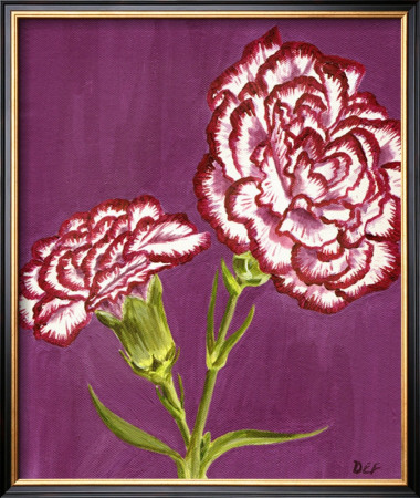 Purple And White Carnations by Elise Ferguson Pricing Limited Edition Print image