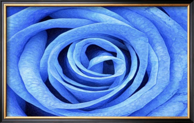 Blue Rose by Stephen Lebovits Pricing Limited Edition Print image