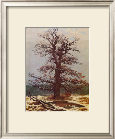 Oak In The Snow by Caspar David Friedrich Pricing Limited Edition Print image