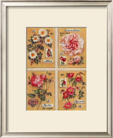 Roses Anciennes by Laurence David Pricing Limited Edition Print image