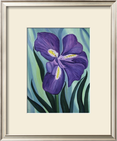 Blue Iris by Mary Stubberfield Pricing Limited Edition Print image