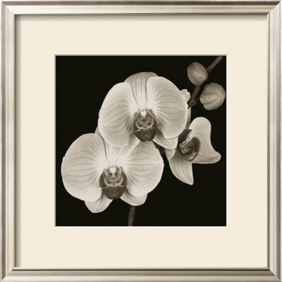 Three Flowers by Nelson Figueredo Pricing Limited Edition Print image