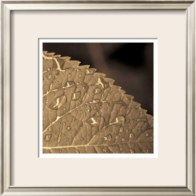 Serenite by Jean-Francois Dupuis Pricing Limited Edition Print image