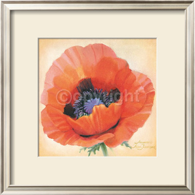 Papaver Orientale by Annemarie Peter-Jaumann Pricing Limited Edition Print image