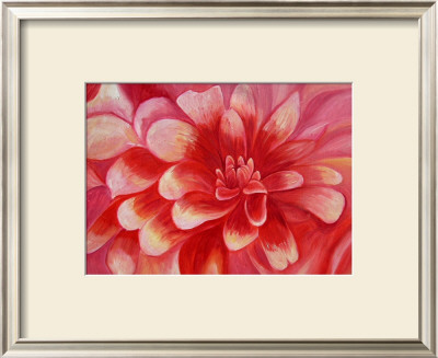 Red Dahlia by Mary Stubberfield Pricing Limited Edition Print image
