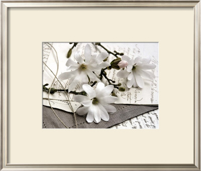 Magnolia Et Lettres by Catherine Beyler Pricing Limited Edition Print image