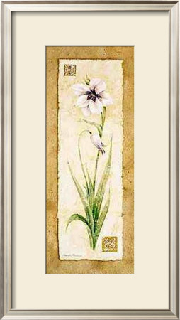 Gladiola by Pamela Gladding Pricing Limited Edition Print image