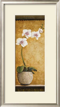 Hanna's Orchids I by Susan Osborne Pricing Limited Edition Print image