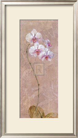 Contemporary Orchid I by Dennis Carney Pricing Limited Edition Print image