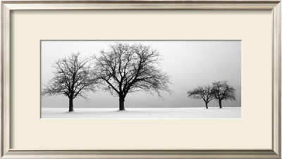 Peaceful Trio by Kris Coppieters Pricing Limited Edition Print image