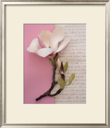Emma's Garden Magnolia by Deborah Schenck Pricing Limited Edition Print image