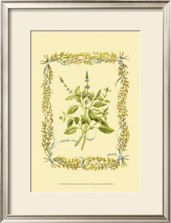 Basil by Wendy Russell Pricing Limited Edition Print image