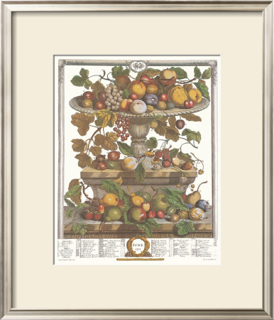 Twelve Months Of Fruits, 1732, June by Robert Furber Pricing Limited Edition Print image