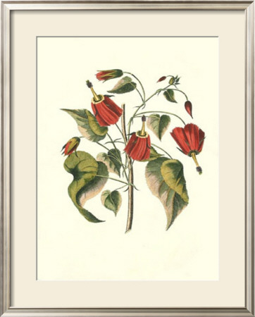 Jenna's Flowers I by Charles Francois Sellier Pricing Limited Edition Print image