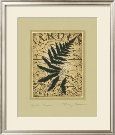 Garden Fern by Betsy Bauer Pricing Limited Edition Print image