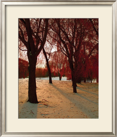 Autumn Snow Ii by Alicia Soave Pricing Limited Edition Print image