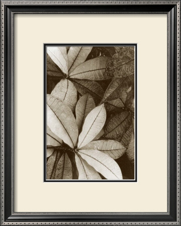 Garden Textures I by Laura Denardo Pricing Limited Edition Print image