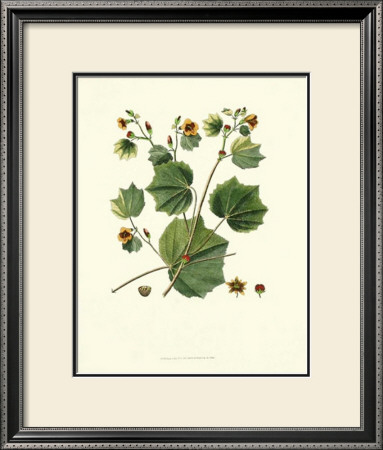 Nature's Way Vi by Charles Francois Sellier Pricing Limited Edition Print image