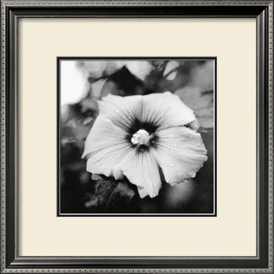 Hibiscus by Dana Buckley Pricing Limited Edition Print image