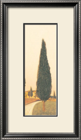 Cypress Ii by Amy Melious Pricing Limited Edition Print image