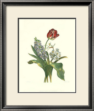 Floral Rhapsody Iii by Pancrace Bessa Pricing Limited Edition Print image