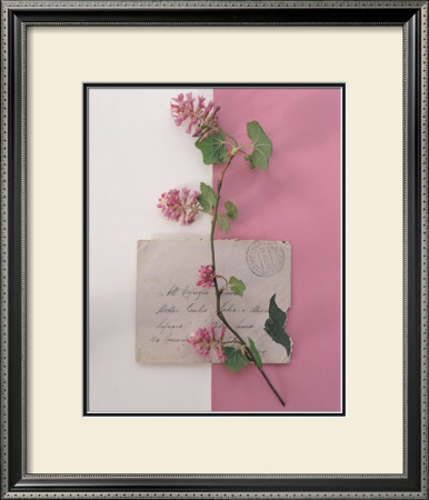 Emma's Garden Flowering Current by Deborah Schenck Pricing Limited Edition Print image