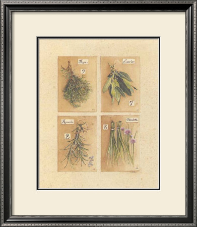 Herbes, Thym by Laurence David Pricing Limited Edition Print image