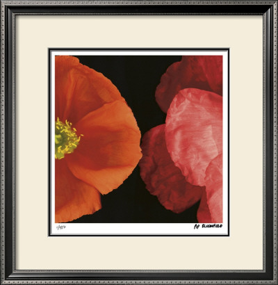 Dual Poppy Right by Pip Bloomfield Pricing Limited Edition Print image