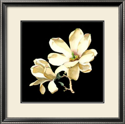 Midnight Magnolias I by Dussurgey Pricing Limited Edition Print image