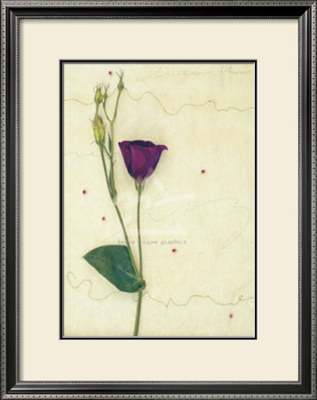Lizzieanthus by Kidney Pricing Limited Edition Print image