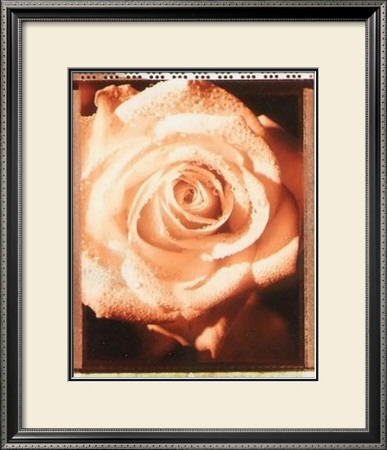 Beautiful Flower Ii by Gerard Van Hal Pricing Limited Edition Print image