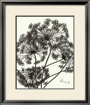 Delicate Twigs I by Franz Heigl Pricing Limited Edition Print image