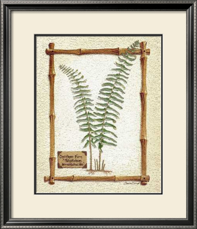 Christmas Fern by Susan Clickner Pricing Limited Edition Print image