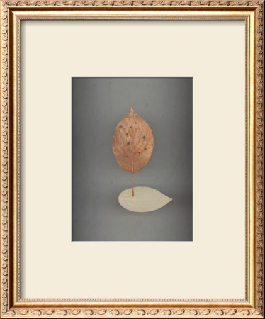 Assemblage No. 78 by John Watson Pricing Limited Edition Print image
