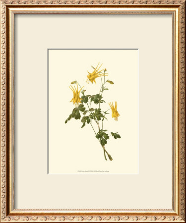 Native Beauty Iii by Louis Prang Pricing Limited Edition Print image