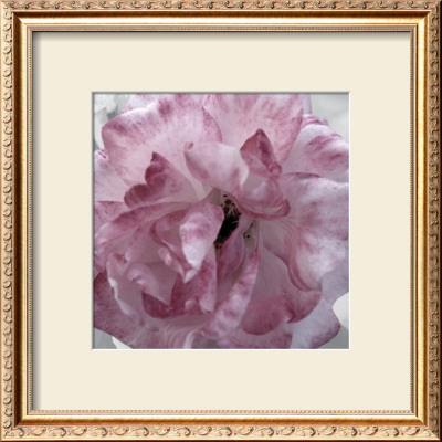Pink Flower by Prades Fabregat Pricing Limited Edition Print image