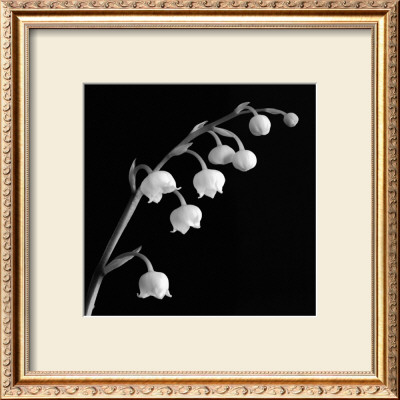Spring Bells Ii by Michael Faragher Pricing Limited Edition Print image