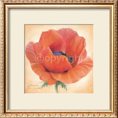 Papaver Aladin by Annemarie Peter-Jaumann Pricing Limited Edition Print image