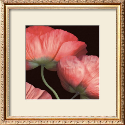 Celebration Ii by S. G. Rose Pricing Limited Edition Print image
