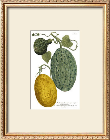 Antique Melons Ii by Weimann Pricing Limited Edition Print image