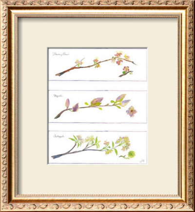 Spring Branches by Robbin Gourley Pricing Limited Edition Print image