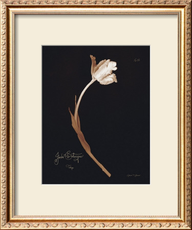 Tulip by Natasha D'schommer Pricing Limited Edition Print image