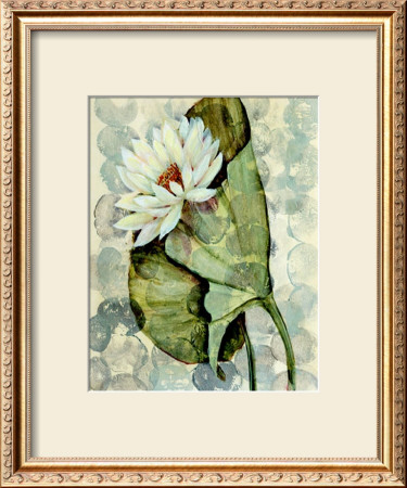 Amazonia I by Amore Pricing Limited Edition Print image