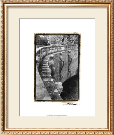 Italian Garden Iii by Laura Denardo Pricing Limited Edition Print image