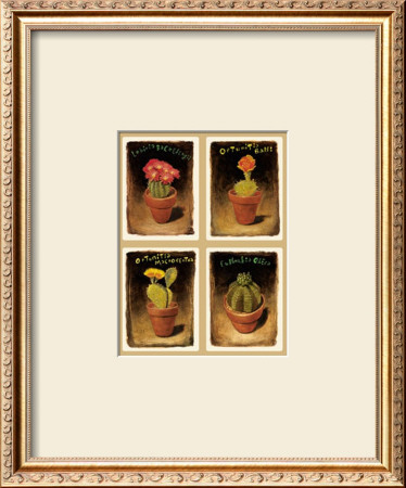 Cacti by Joseph D. Fiedler Pricing Limited Edition Print image