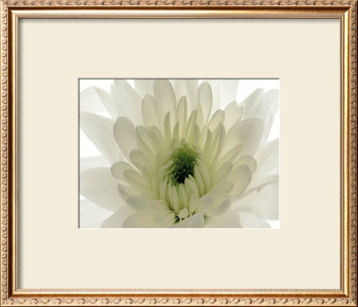 Pureness by George Fossey Pricing Limited Edition Print image