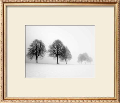 Winter Trees Ii by Ilona Wellmann Pricing Limited Edition Print image